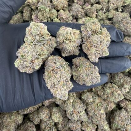 Candy cartel