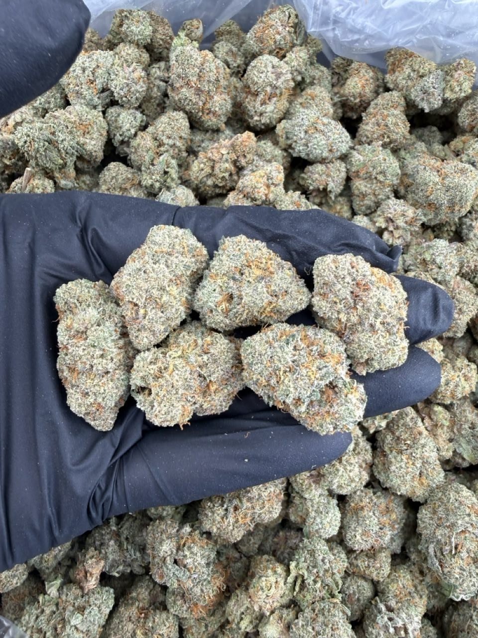 π Peach Guava