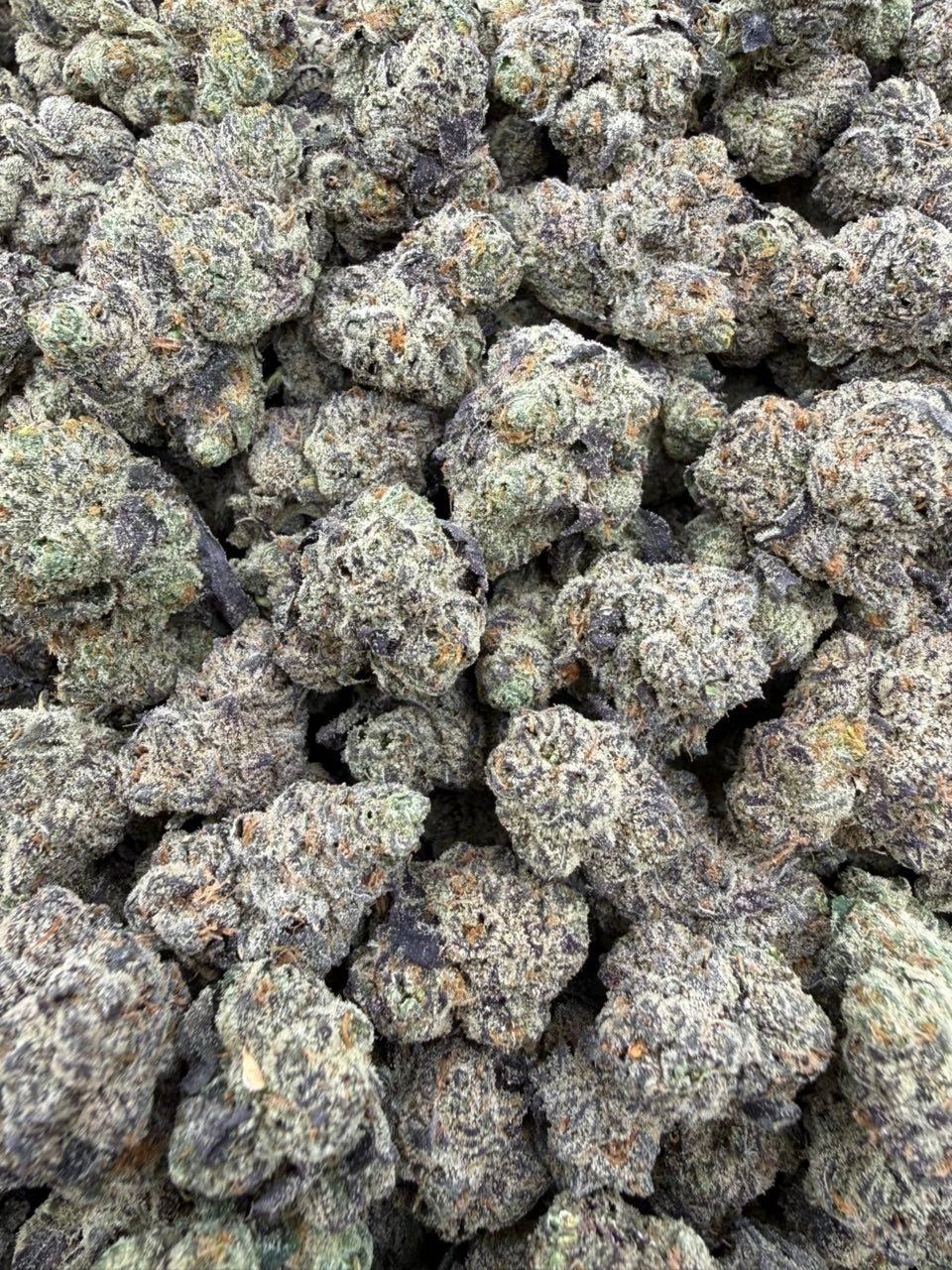 Purple Gumdrops