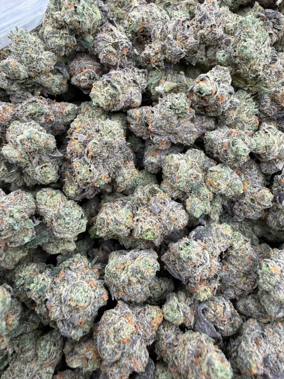 Crypto Cherries