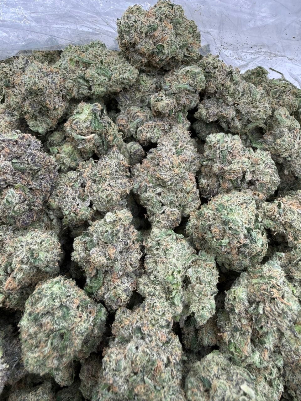 BX2