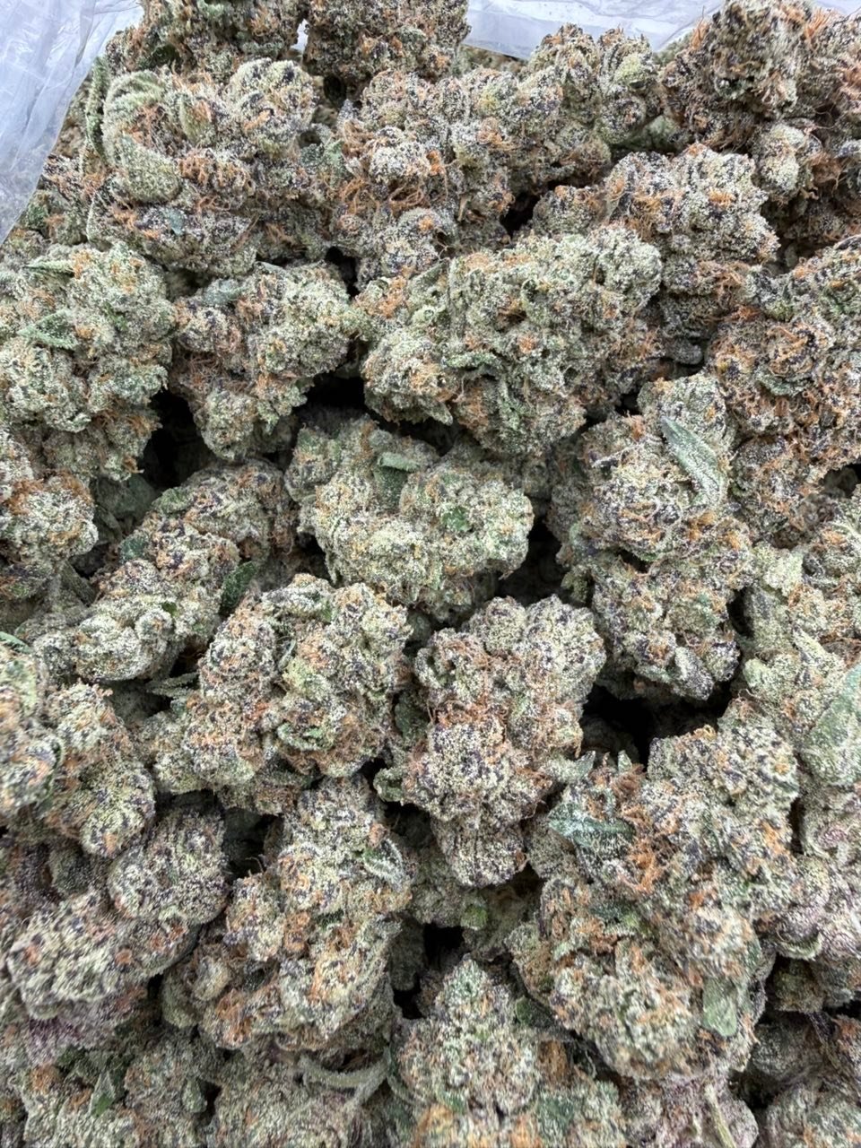 Mango Sticky Runtz