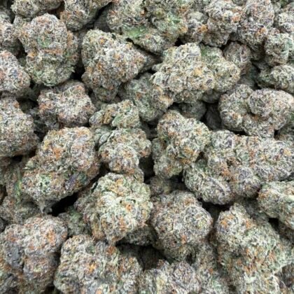 Lemon Cherry Gelato
