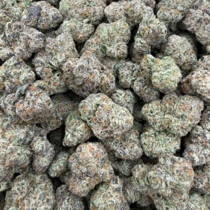 Gelato Runtz