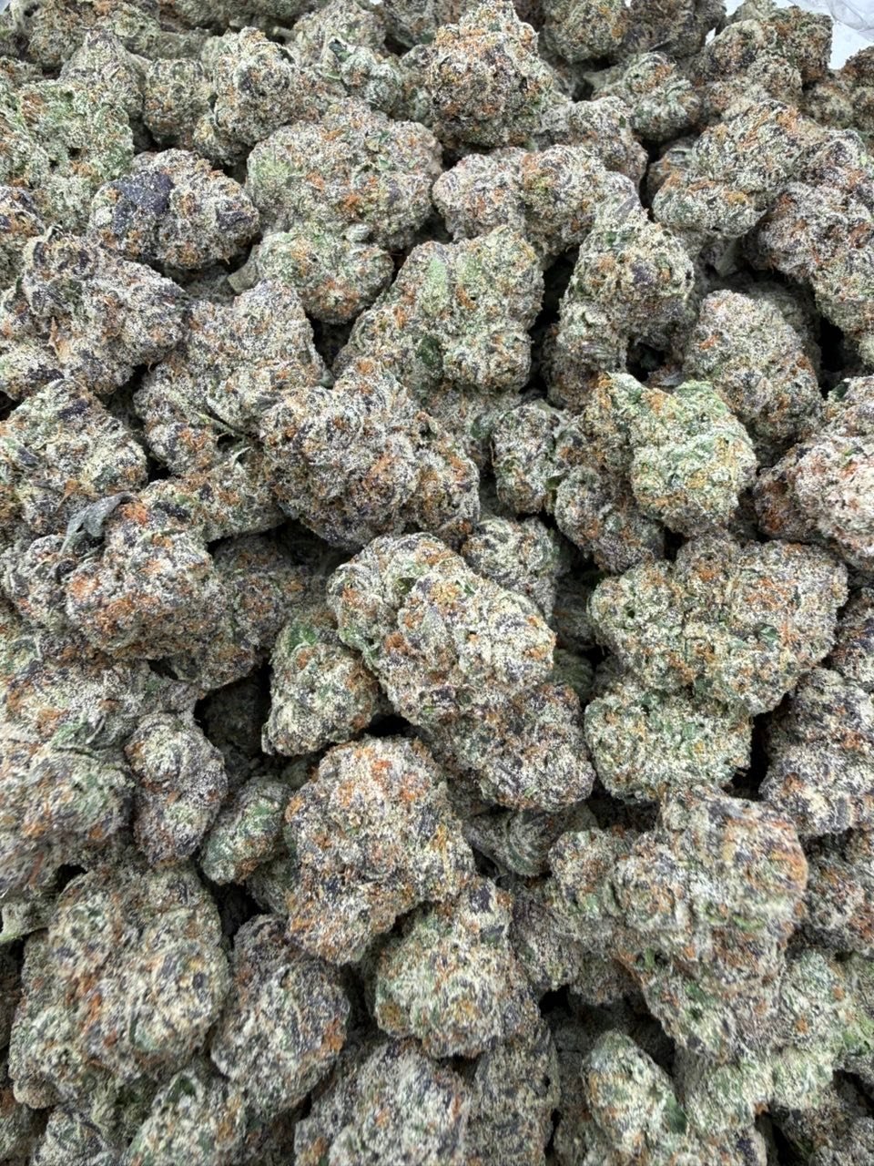 Gelato Runtz