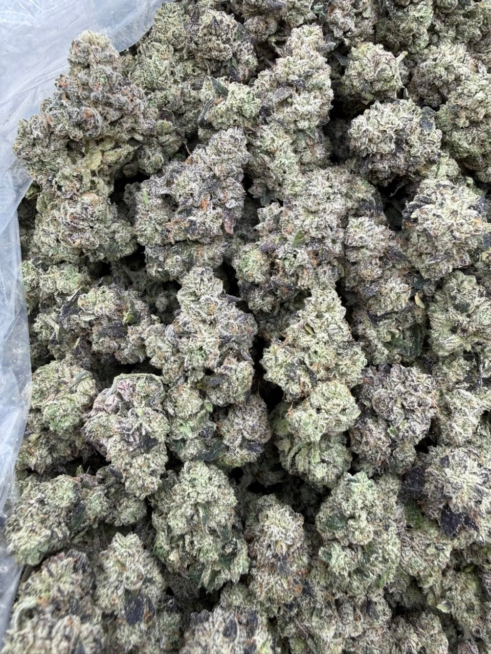 Pineapple Punch