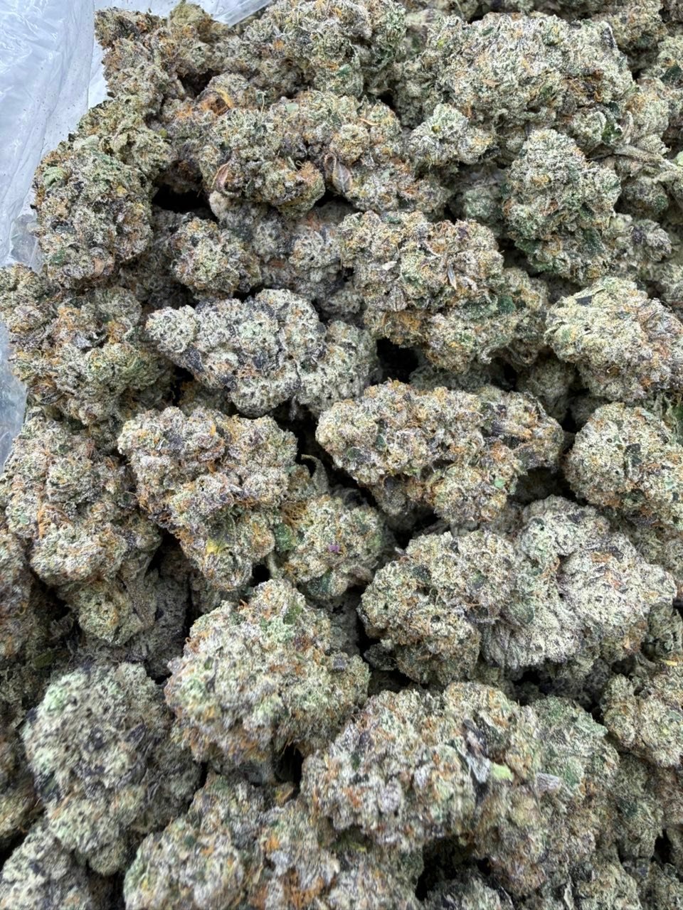 Cherry Pie