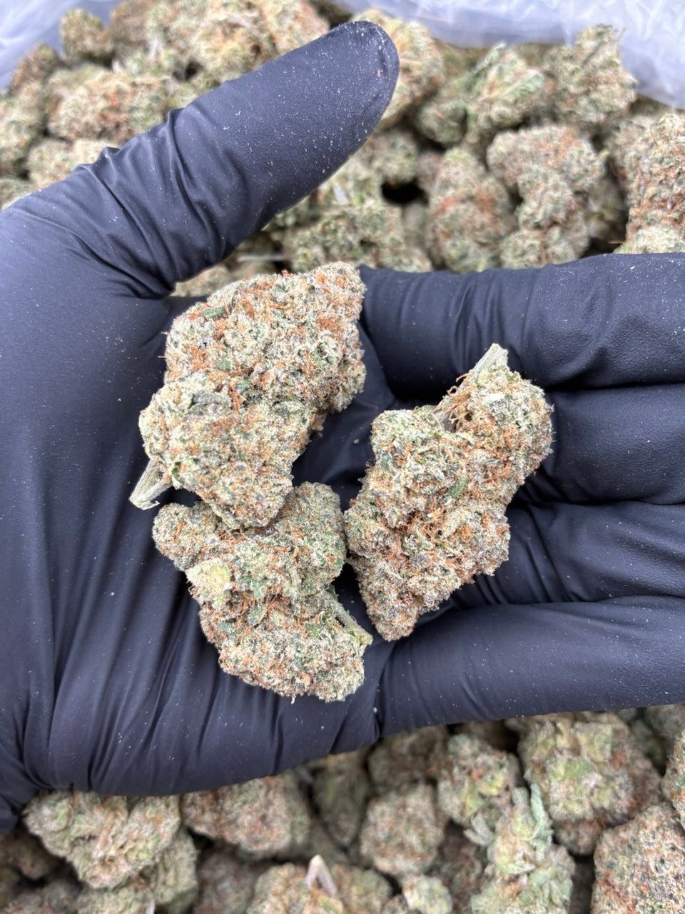 Platinum Pink Runtz