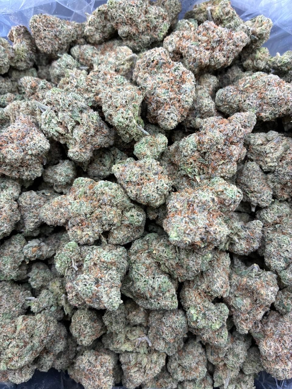 Platinum Pink Runtz - Image 2