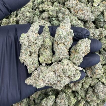 SUPER SOUR RUNTZ

10/10 Candy Nose 🍭 
🥣1lb+ 1175
🥣5lb+ 1125
🥣10lb+ 1075
🥣20lb+ 1025
LA In Town 925