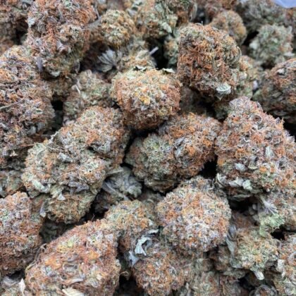 Indoor Platinum Purple Bubba
🥣1lb+ 1000
🥣5lb+ 950
🥣10lb+ 900
🥣20lb+ 850