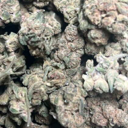 Grease Monkey Licensed Mixed Light