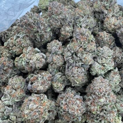 Plumberry gelato
$500 Intown || $550 Shipped