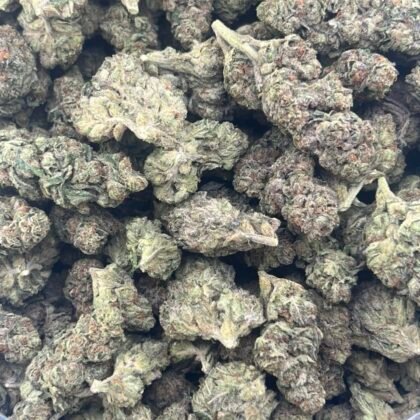 Triple Scoop Licensed Mixed Light
Shipped 📦:
10 lbs @ 6750
5 lbs @ 3625
1 lb @ 750
1/2 lb @ 425