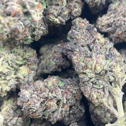 Red Runtz Licensed Mixed Light
Shipped 📦:
10 lbs @ 6750
5 lbs @ 3625
1 lb @ 750
1/2 lb @ 425