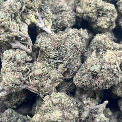 Frosted Runtz Licensed Dep
Shipped 📦:
1 lb @ 450
Last One
Candy Nose