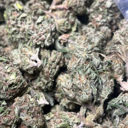 LFG Licensed Dep
Shipped 📦:
10 lbs @ 4750
5 lbs @ 2625
1 lb @ 550
1/2 lb @ 325