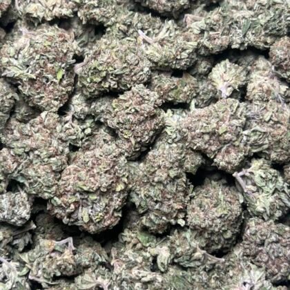 LCG Licensed Dep
Shipped 📦:
10 lbs @ 5250
5 lbs @ 2875
1 lb @ 600
1/2 lb @ 350