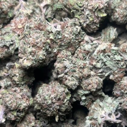 Gruntz Licensed Dep
Shipped 📦:
10 lbs @ 5250
5 lbs @ 2875
1 lb @ 600
1/2 lb @ 350