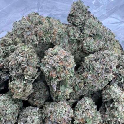 Jelly runtz
-shipping
$450 Intown || $500 Shipped