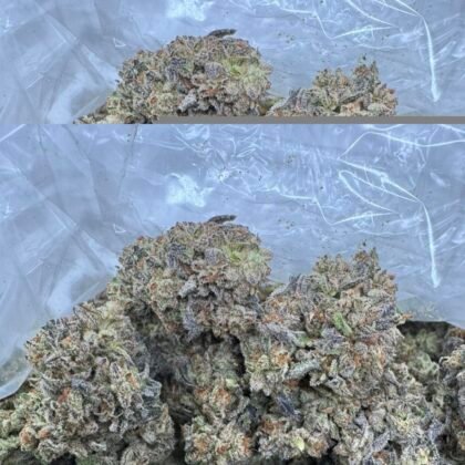 Candy soda poppers
$500 Intown || $550 Shipped