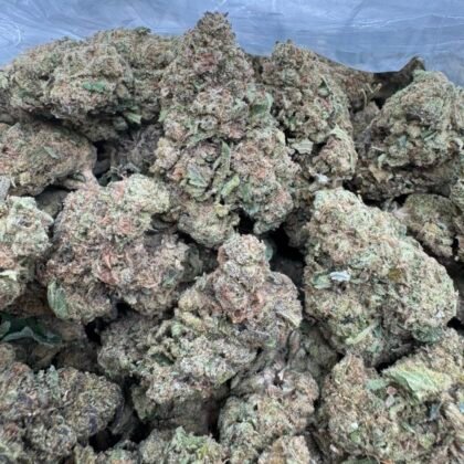Gelato
$325 Intown || $375 Shipped