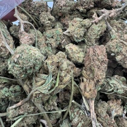 Northern lights lows
-Shipping
1lb for $175
10lbs for $1,500
25lbs for $3,125
50lbs for $5,500
100lbs for $10,500
intown LA
$125 per LB