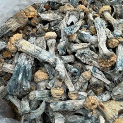 Mysteri fungi
$450 per LB