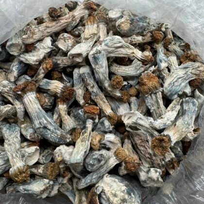 Gold halos
$450 per LB