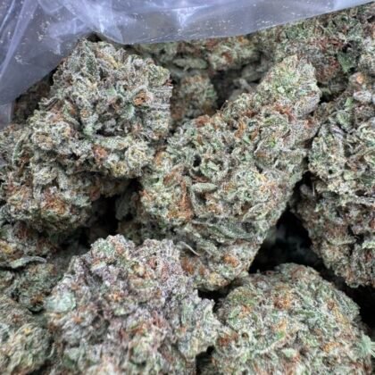 LCG candy
(strong candy nose 🔥🔥🔥)
-Shipping
$525
-Intown LA
$475