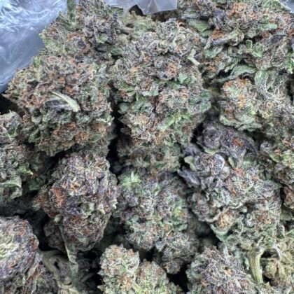 Grape Zours
-Shipping
$500
-Intown LA
$450