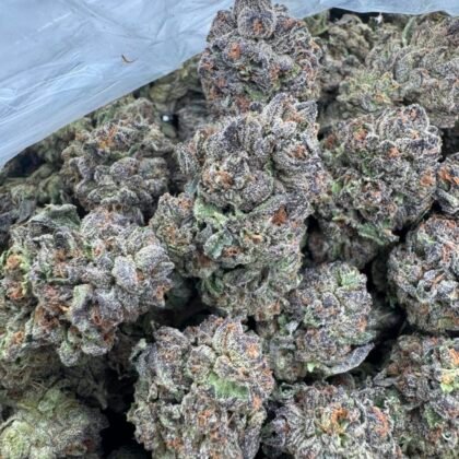 Jellybean candy
-Shipping
$500
-Intown LA
$450