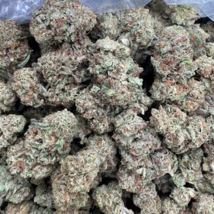 Toad venom OG 🐸🐸
(fire toad nose)
-Shipping
$500
-Intown LA
$450