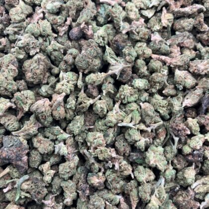Curelato Smalls
$450 Intown || $500 Shipped
Breakdown
$300 HP
$200 QP