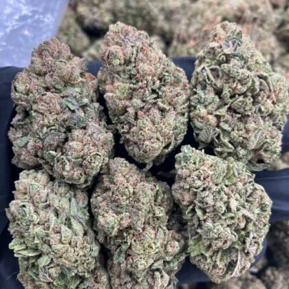 Ghost Hulk Gelato