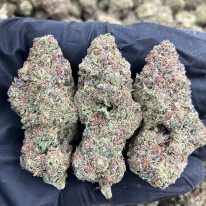 Black Cherry Pie