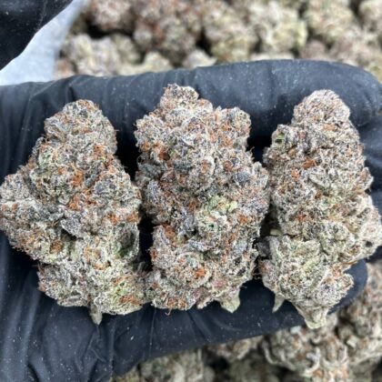 Ghost Fire Runtz