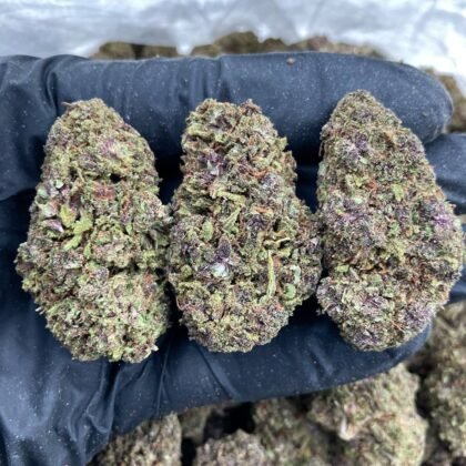 Blueberry Faygo