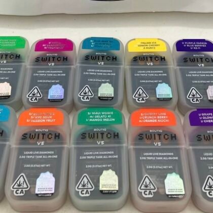 Boutique Switch V5 2G Disposable