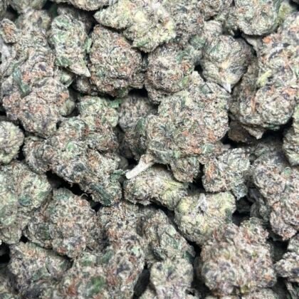 G33 Licensed Indoor