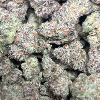 Blue Mochi Licensed Indoor