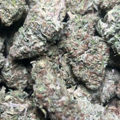 FR Licensed Dep
Shipped 📦:
10 lbs @ 5250
5 lbs @ 2875
1 lb @ 600
1/2 lb @ 350