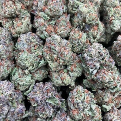 Gelato Icee
$675 Intown || $725 Shipped
Breakdown
$425 HP
$275 QP
$100 Zip
