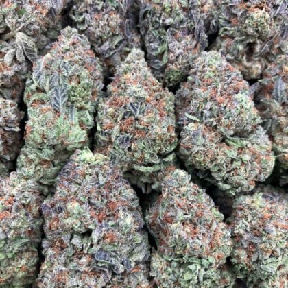 Russian Cream
$675 Intown || $725 Shipped
Breakdown
$425 HP
$275 QP
$100 Zip