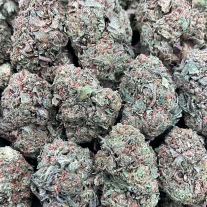Larry Gary Gelato
$600 Intown || $650 Shipped
Breakdown
$375 HP
$250 QP
$90 Zip