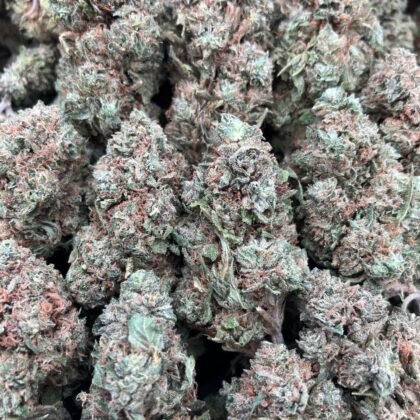 Juicy Fruit Gelato
$575 Intown || $625 Shipped
Breakdown
$375 HP
$250 QP
$90 Zip