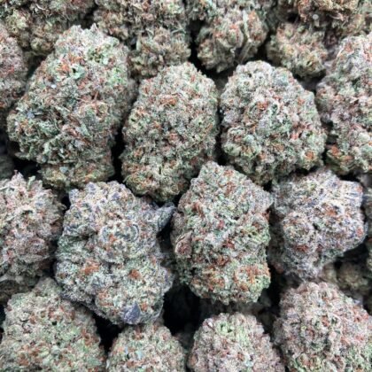 $625 Intown || $675 Shipped
Breakdown
$375 HP
$250 QP
$90 Zip