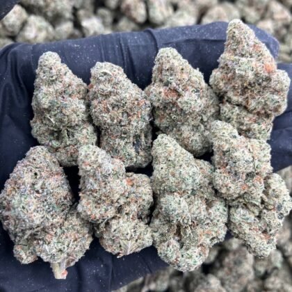 White Fire Runtz - Shmediums
$1000 Intown || $1050 Shipped
Breakdown
$575 HP
$325 QP
$100 Zip