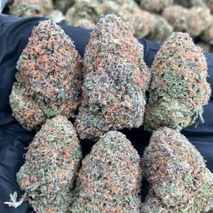 Pineapple Runtz
$950 Intown || $1000 Shipped
Breakdown
$525 HP
$325 QP
$100 Zip