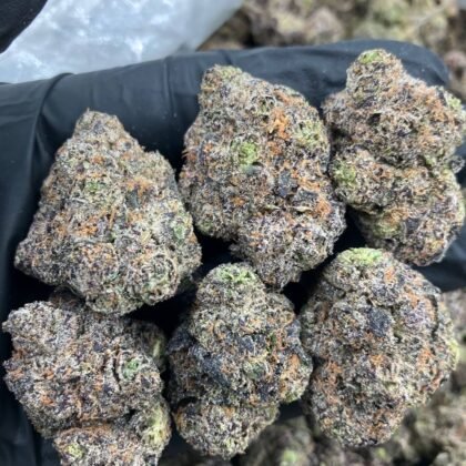 ⚡️Flash Sale⚡️
Help me LCG
$1100 Intown || $1150 Shipped